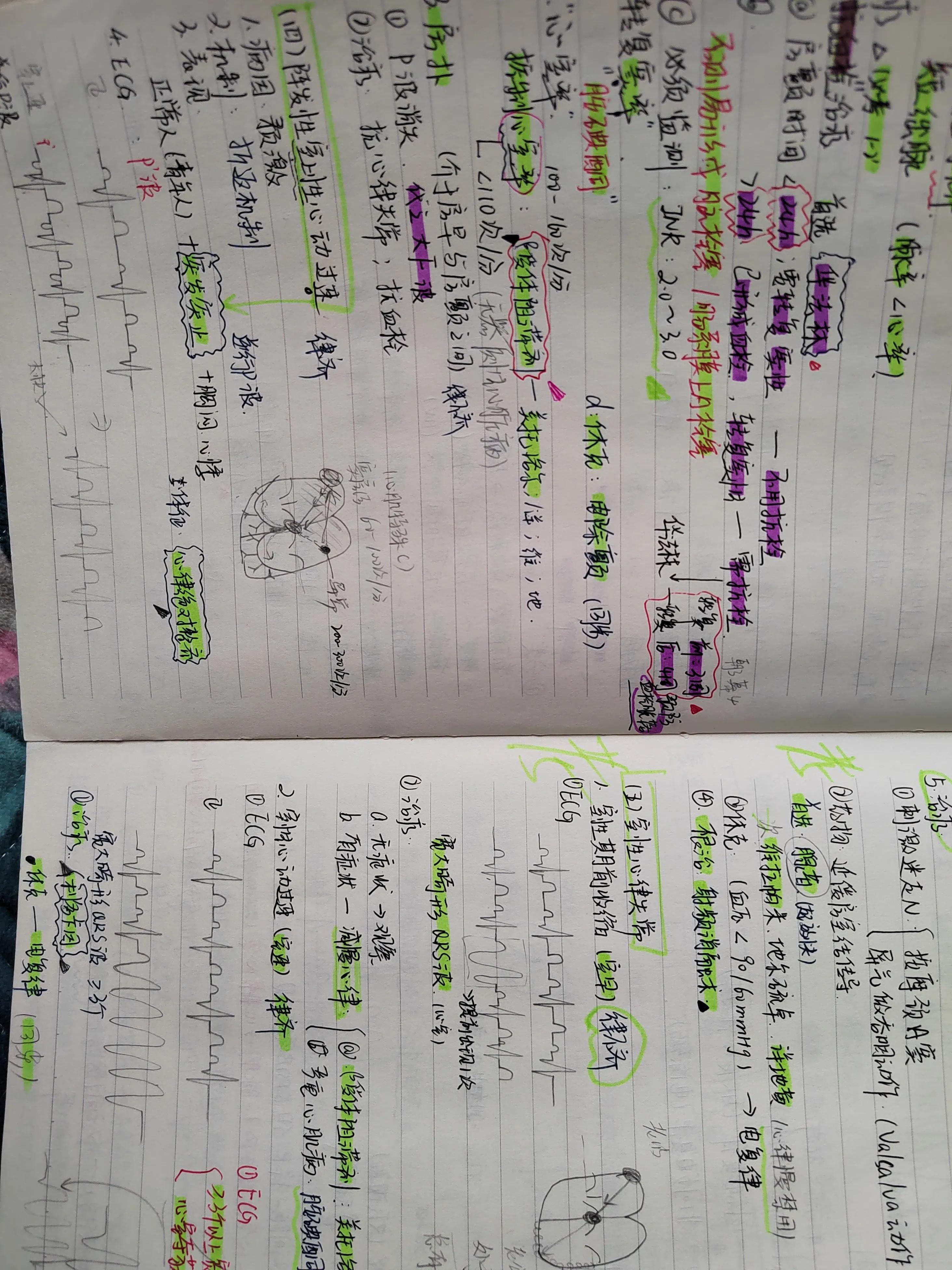 2022年中医执业助理医师考试大纲,2022年助理医师报考执业医师条件