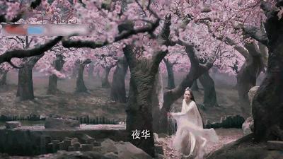 普者黑省旅游景点全攻略,普者黑风景区一天游玩攻略