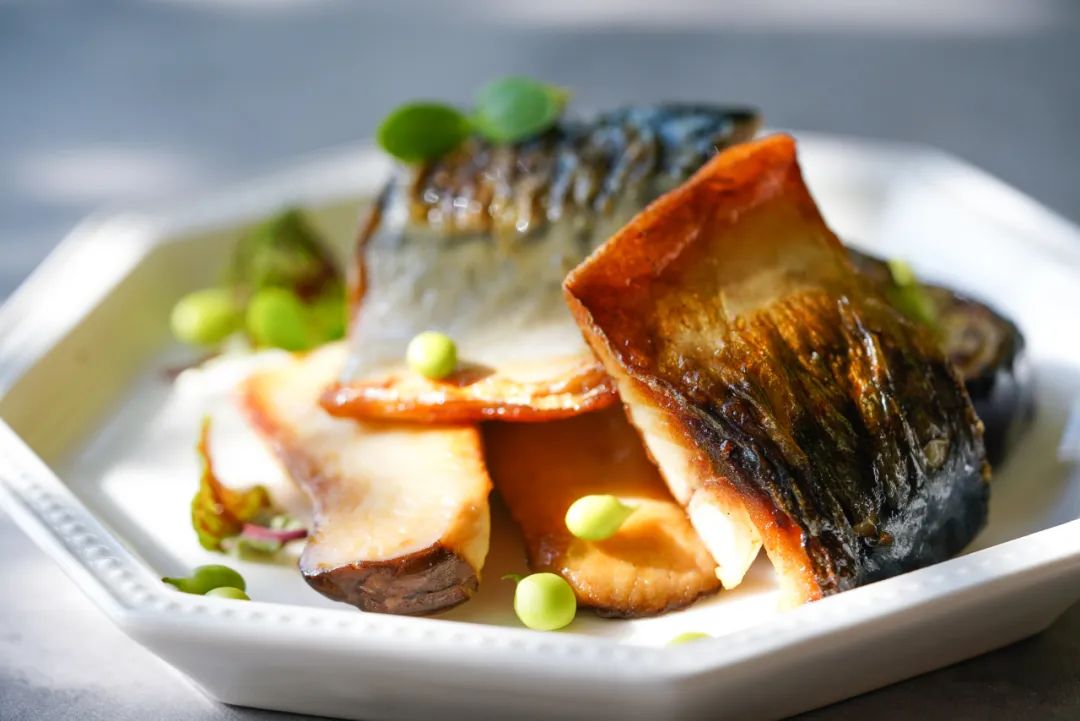 日式碳烤青花鱼做法,干煎小金枪鱼