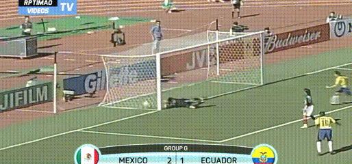 韩日巴西世界杯夺冠全过程,韩日世界杯夺冠时刻