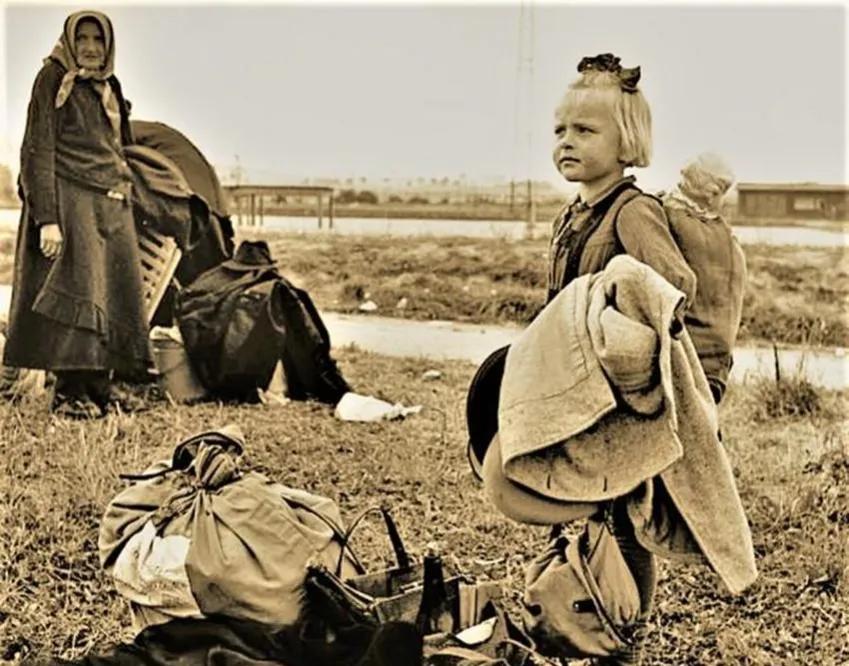 希特勒的“婴儿工厂”：德国妈妈，你准备好了吗？