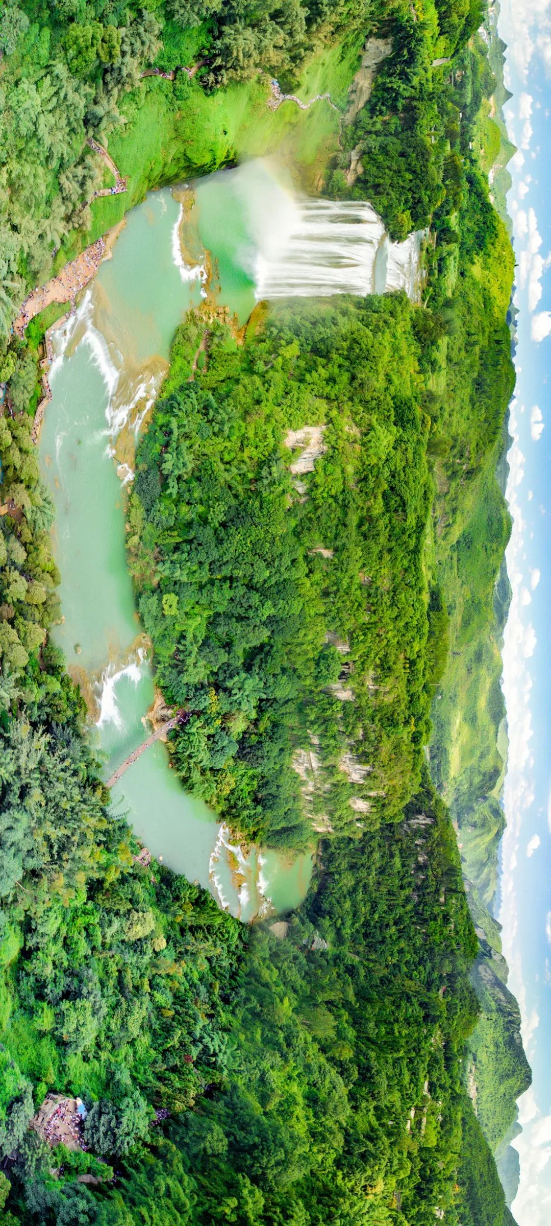 绿色狂想曲,绿色狂想曲三年级