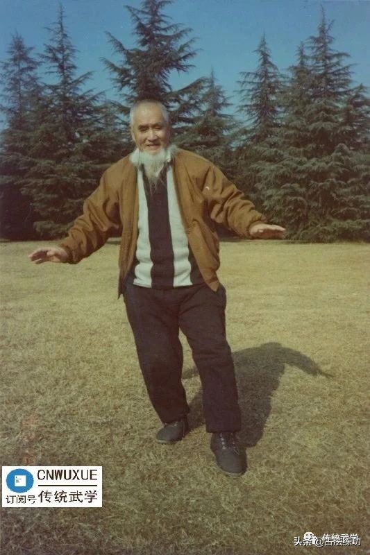 意拳发力原理,意拳实战步法手法和打法