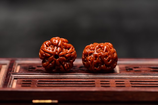 金刚菩提的12个基础知识,牢记这8句话让你终生受益