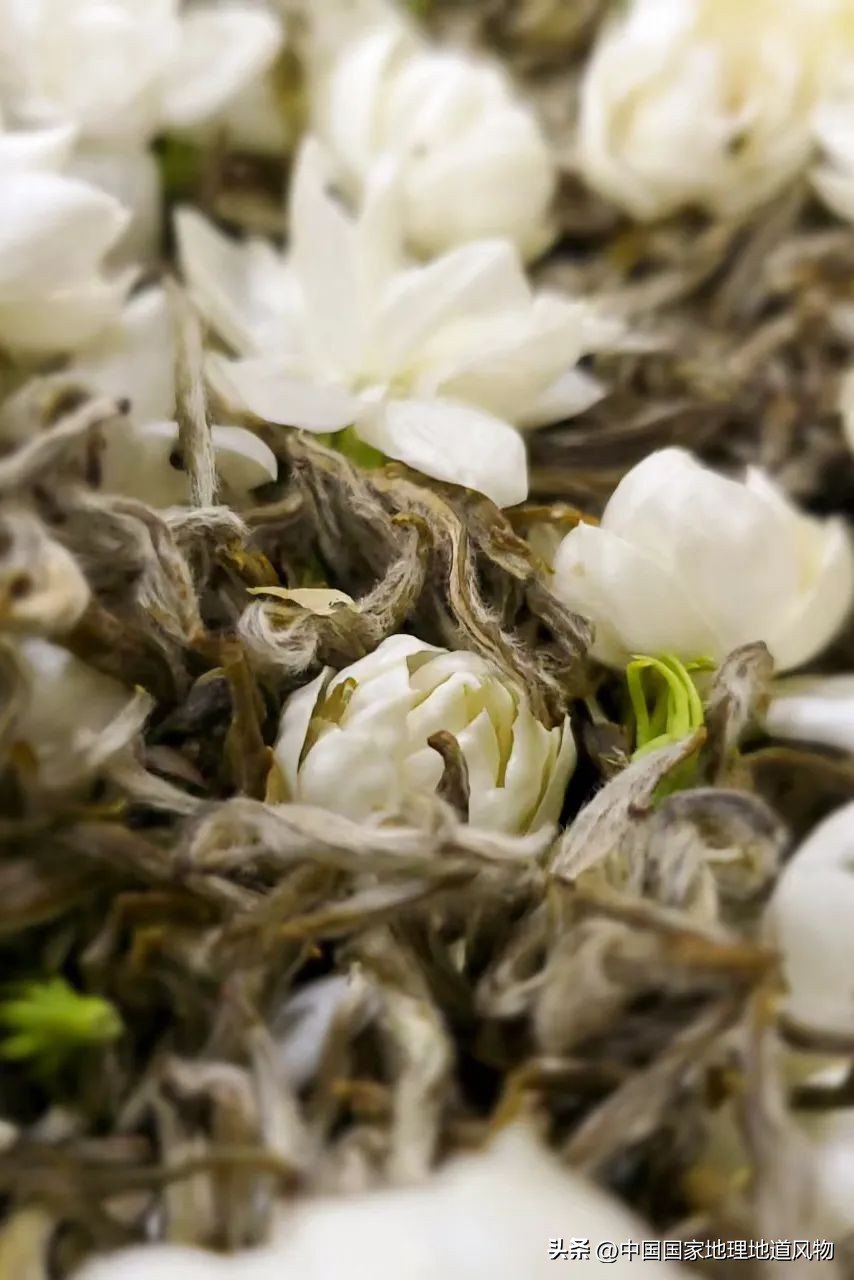 中国人眼中的福州,中国人的美食为什么这么好吃啊