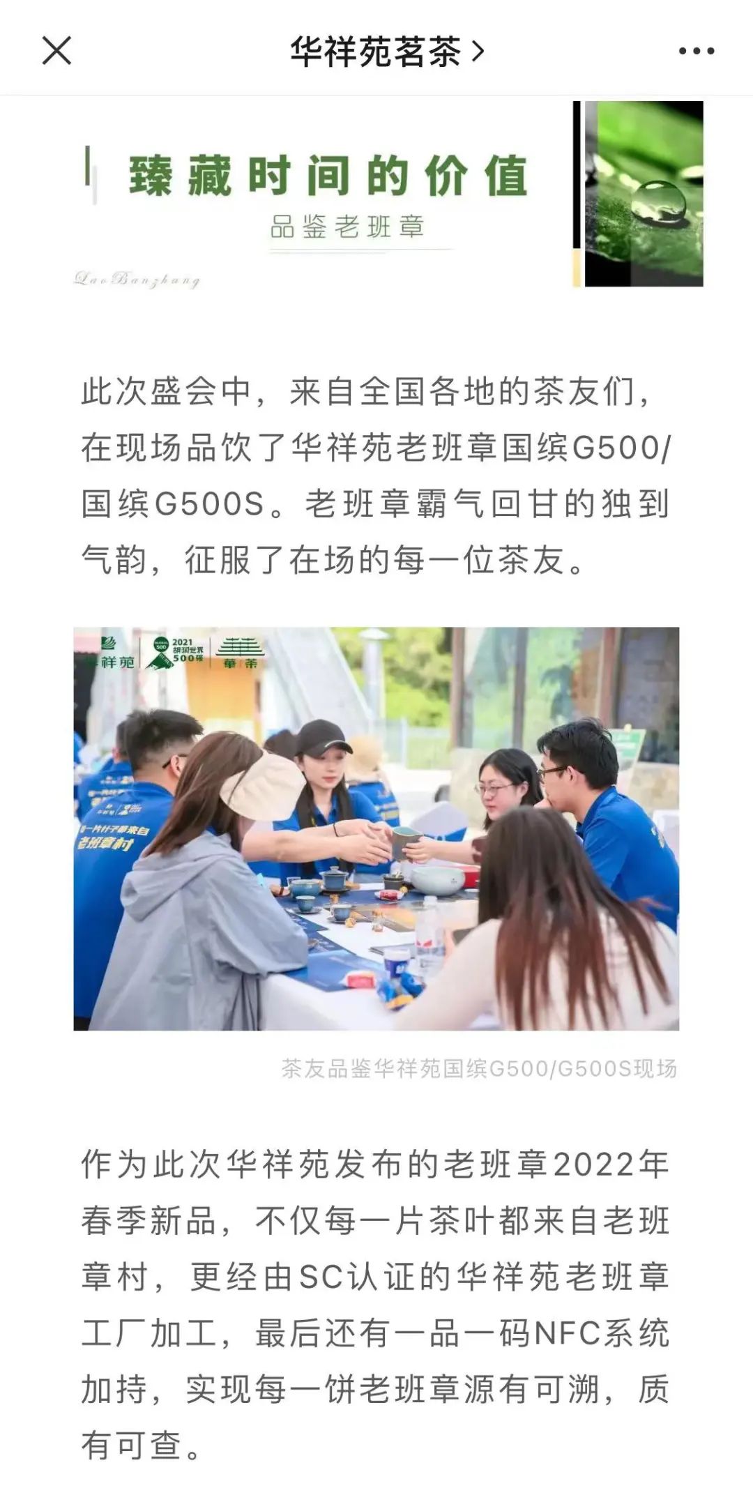 老班章春茶开始了吗,老班章当年春茶多少钱一片