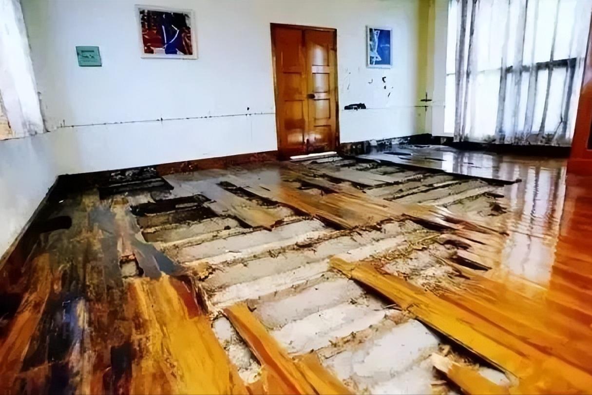 令人头皮发麻,那些令人头皮发麻的虫子