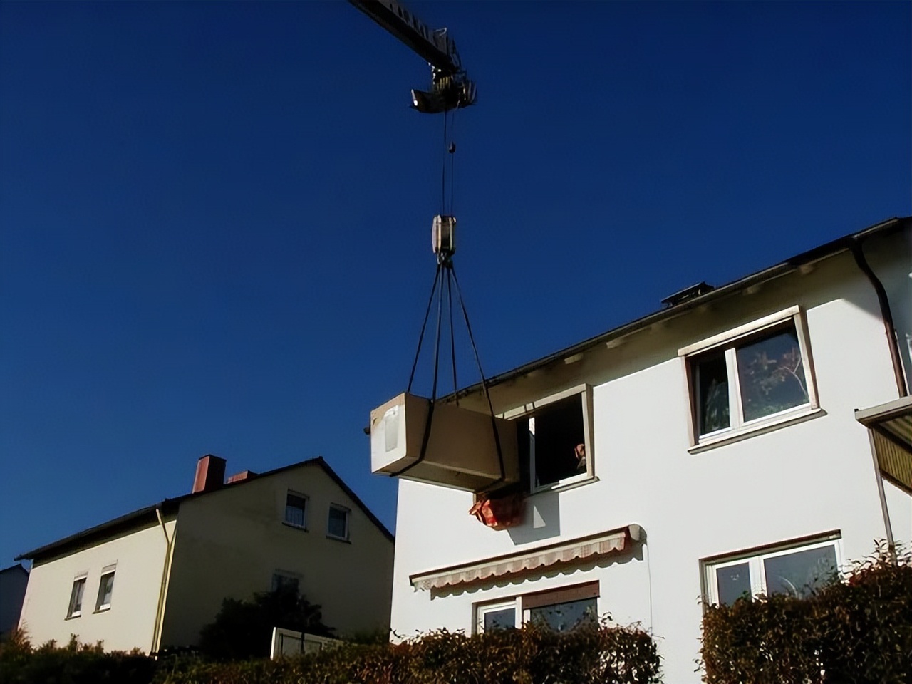 「原来欧洲有这么多种蛇？！」偷师卡塞尔的豢龙大师·下