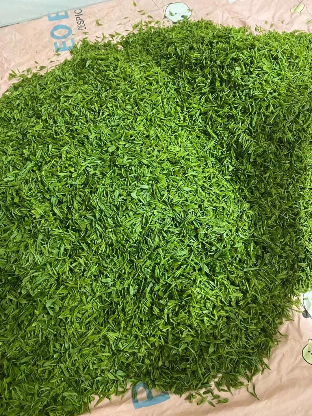 黄山毛峰明前茶雨前茶谷雨茶区别,绿茶是明前茶鲜还是谷雨茶鲜