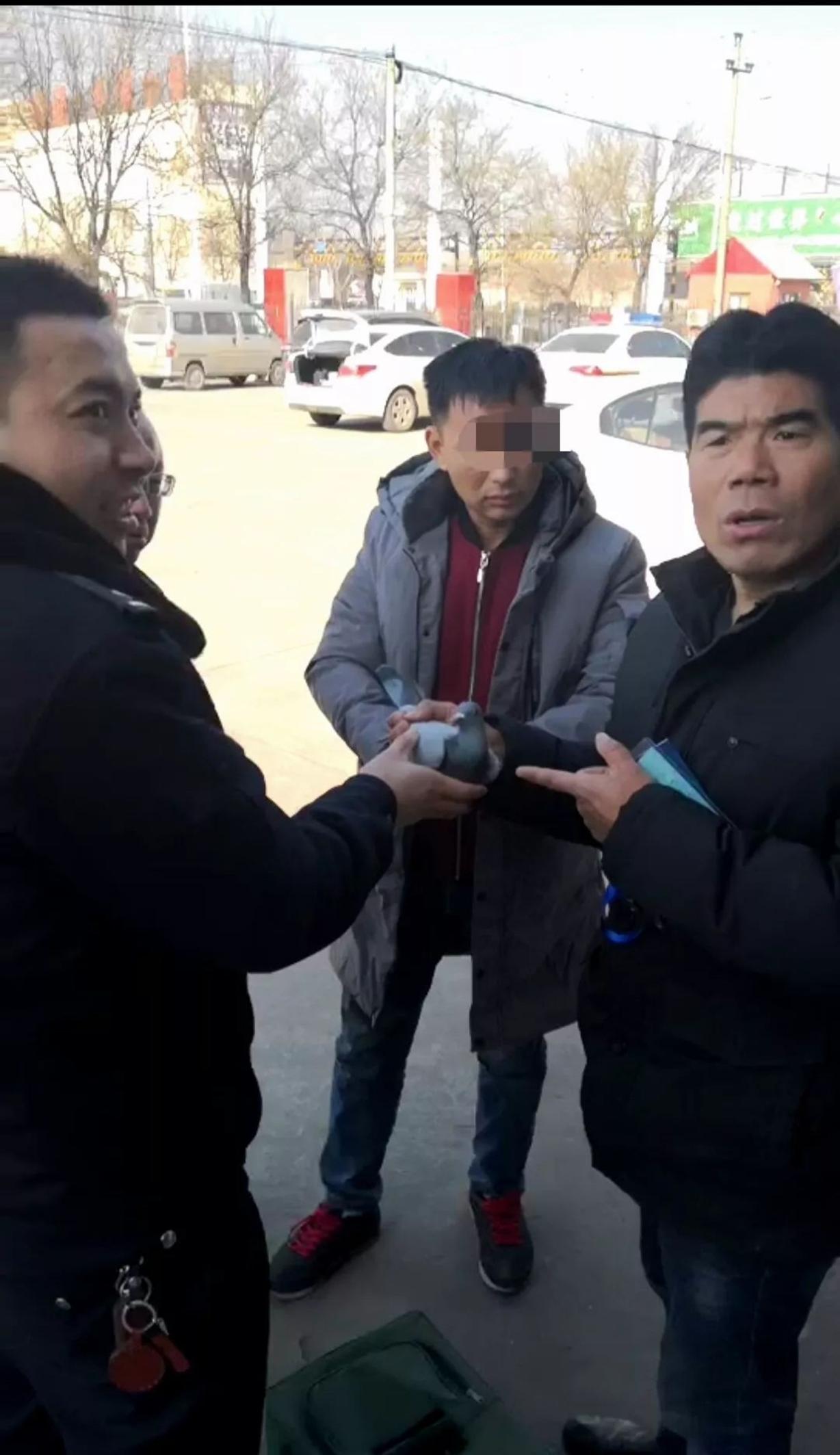 通背拳鸽武缘拿过什么冠军,鸽武缘vs赵文卓的通背拳