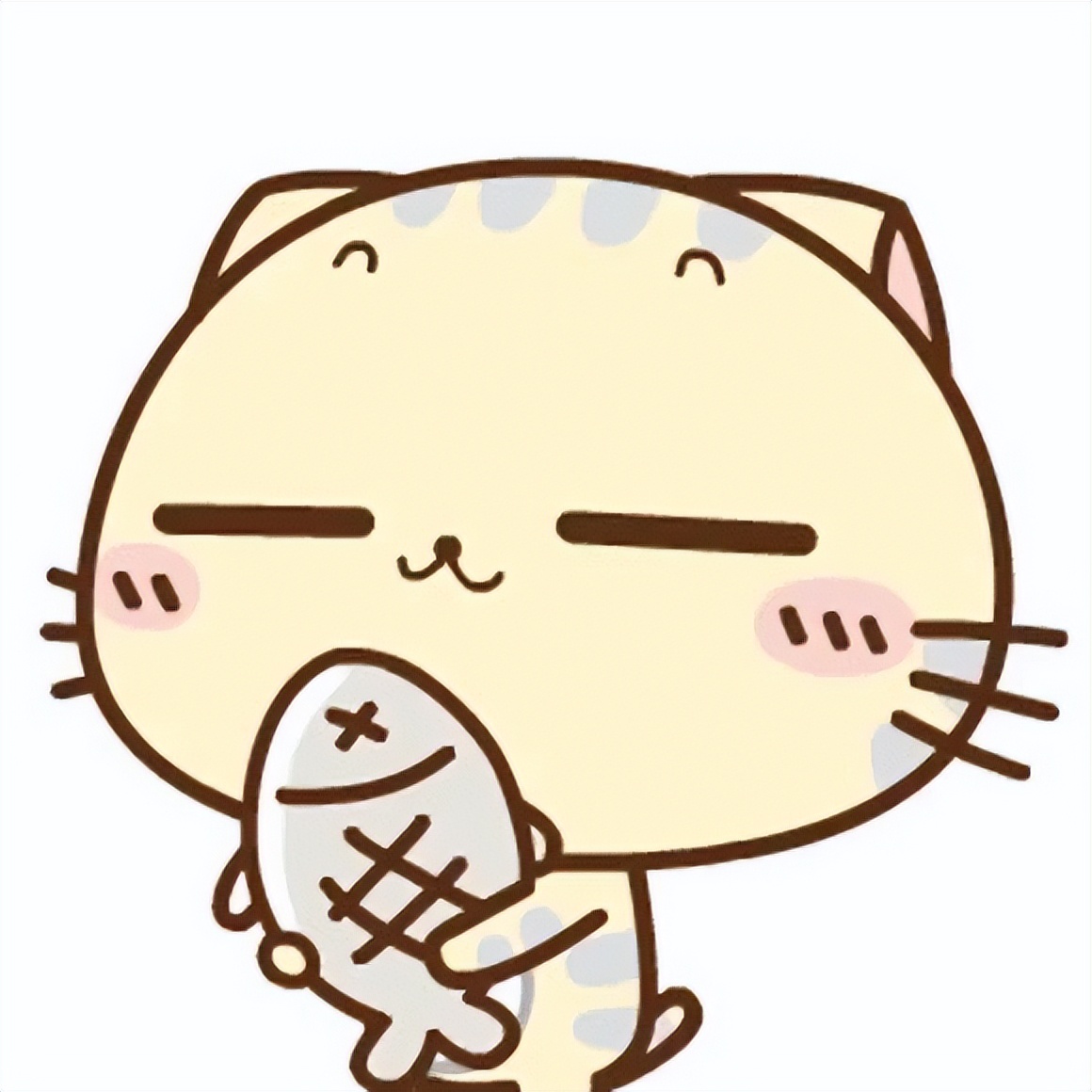 猫咪绝育完要买什么药,猫咪绝育需要知道的哪些事