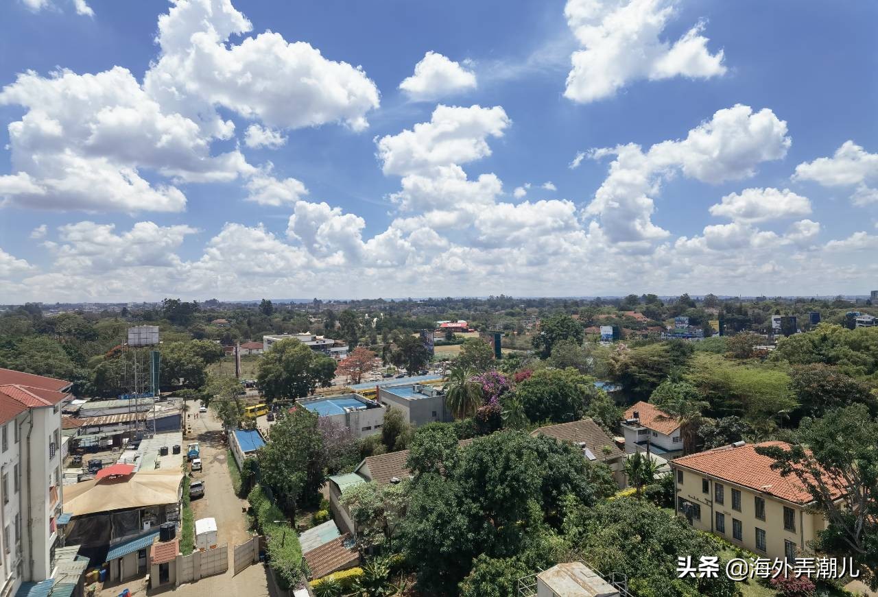 肯尼亚动物大迁徙泪流满面,肯尼亚动物大迁徙深度游