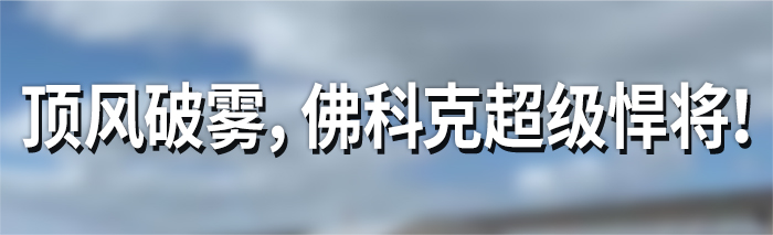 佛科克大名鸽,欧洲赛鸽重大赛事