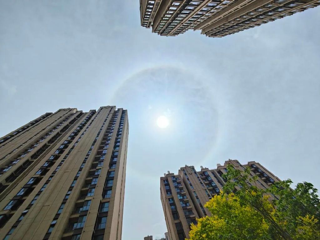 谁是影像机皇,谁才是手机机皇