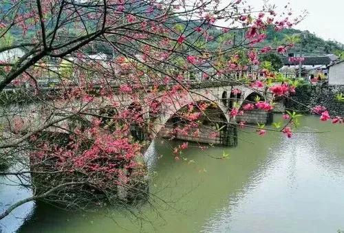 最是书香能致远北部湾中考作文,最是书香能致远初中优秀作文