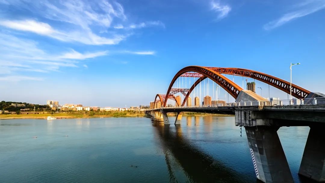 什么是南充菜,什么是南充菜图片