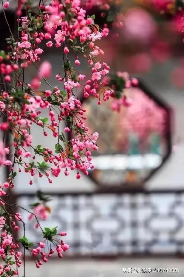 最美人间四月天散文,最美人间四月天的散文