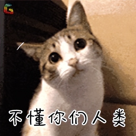 13款热门猫咪主食罐测评红黑榜,最良心的国产猫主食罐推荐