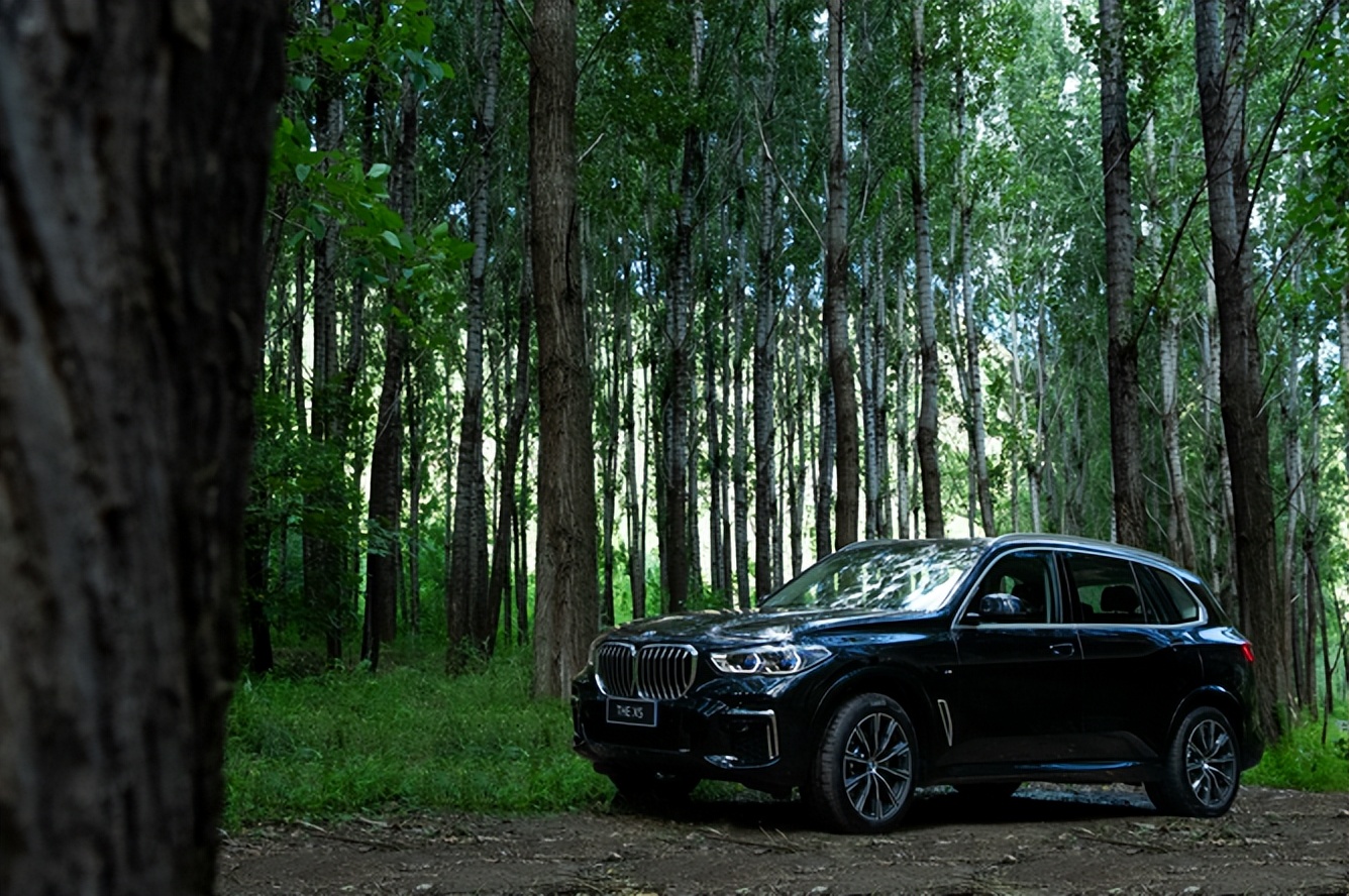 23款宝马x5xdrive30li尊享m运动,宝马x5xdrive30i曜夜版顶配