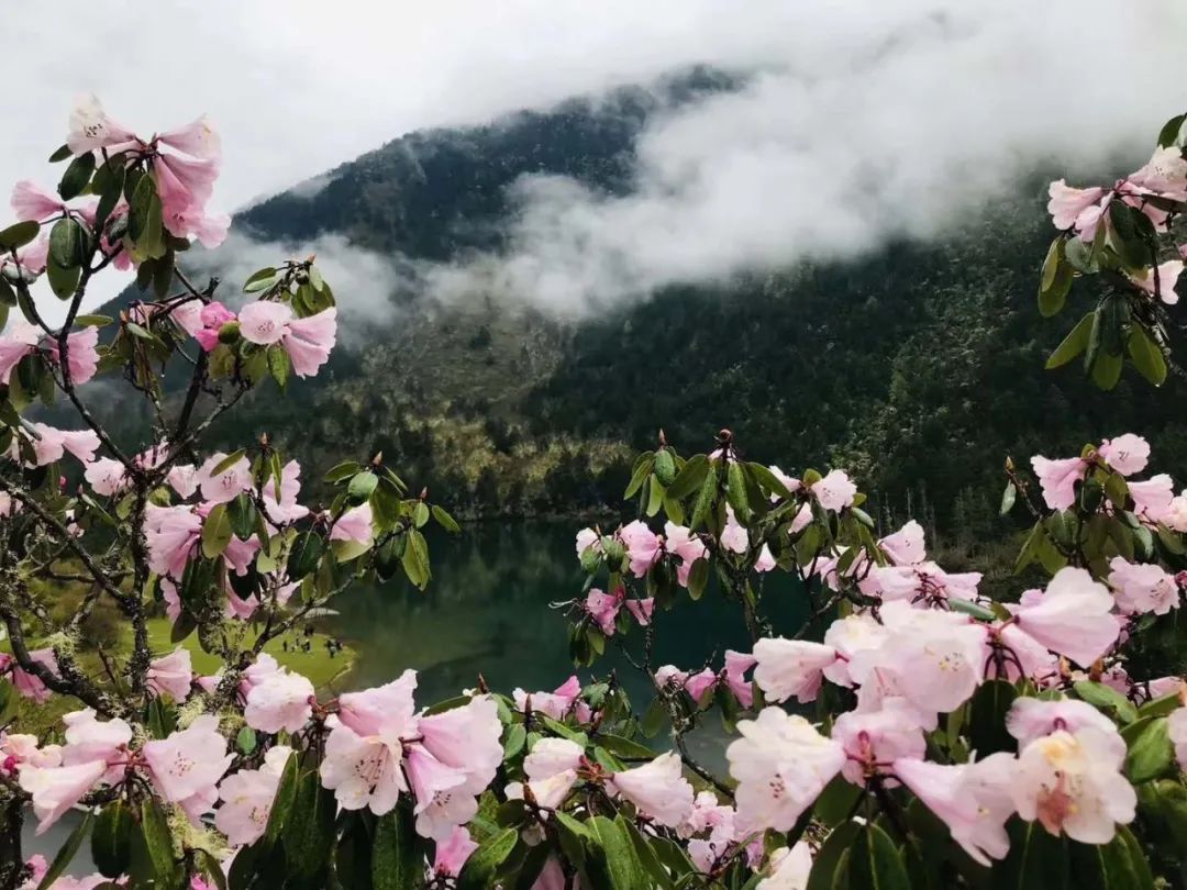 现在的木格措风景,川西高原木格措旅游