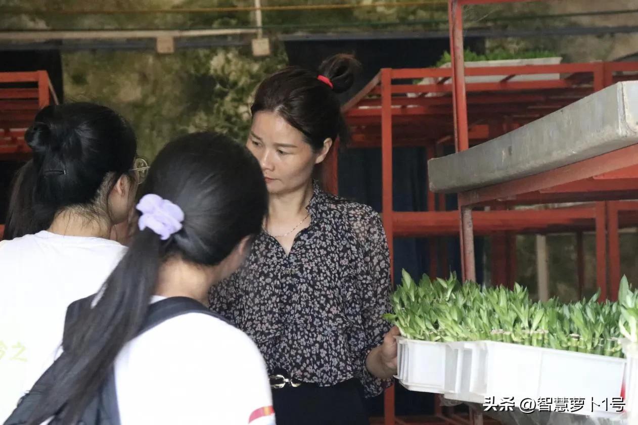 振兴美丽乡村体验别样风情,参观乡村振兴示范村建设成效