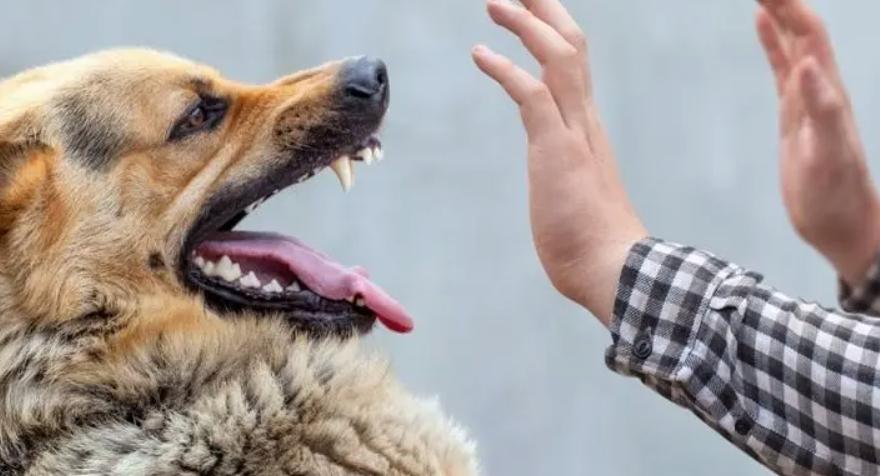 腋窝长了硬块是艾滋病吗,腋下有肿块有可能是艾滋病吗