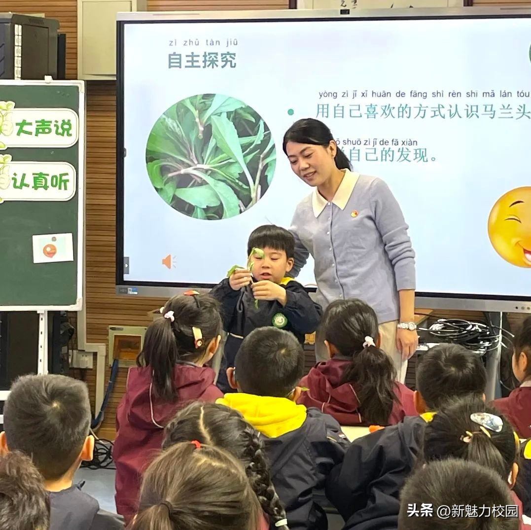 小学教育党建工作课题,中小学党建课题