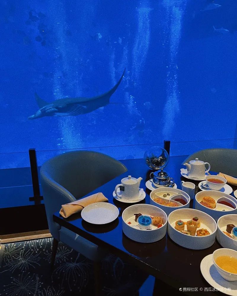 造价500万美元的海底餐厅！开一瓶5.2万美元的水晶香槟