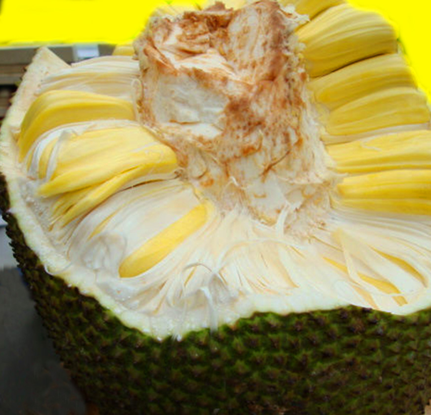 南粤大红菠萝,香甜爽口的金黄飘香菠萝