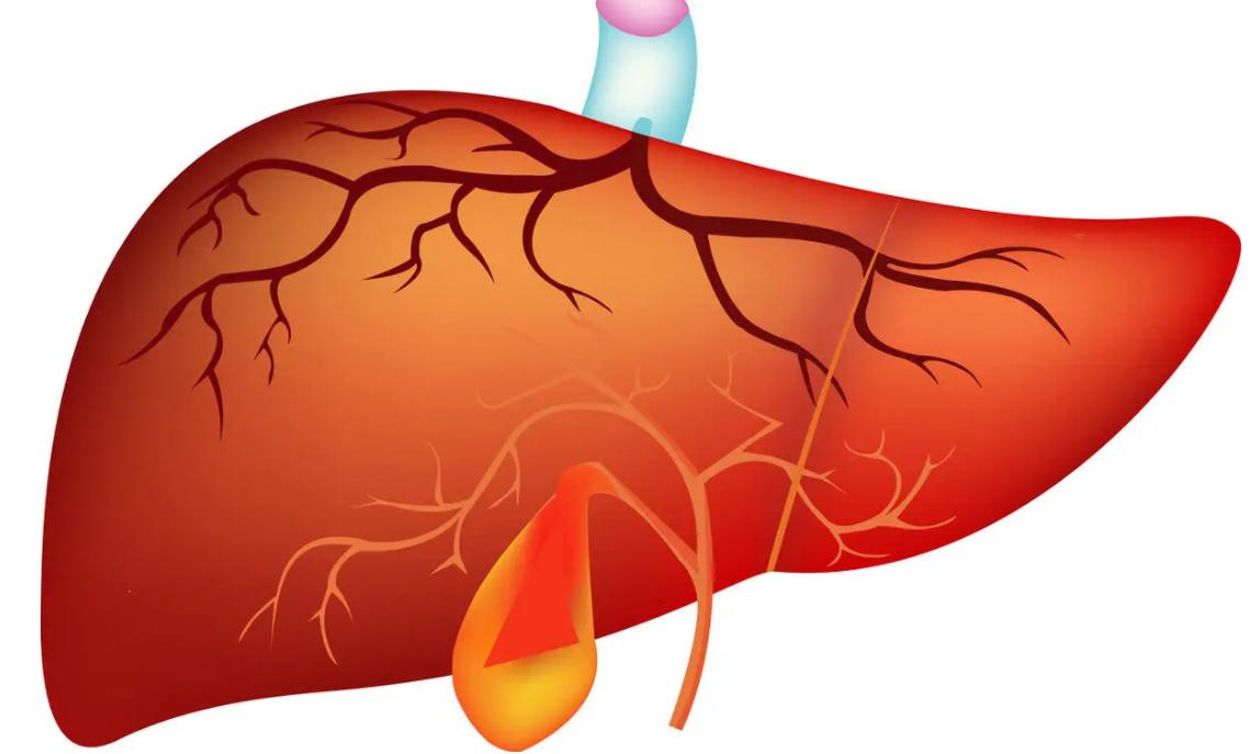肝郁气滞型血压高中医辨证,肝郁气滞血瘀会导致血压升高吗