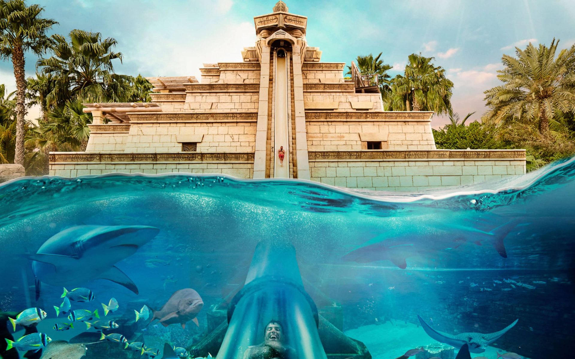 全球最好玩的乐园,全球主题乐园好玩项目排名