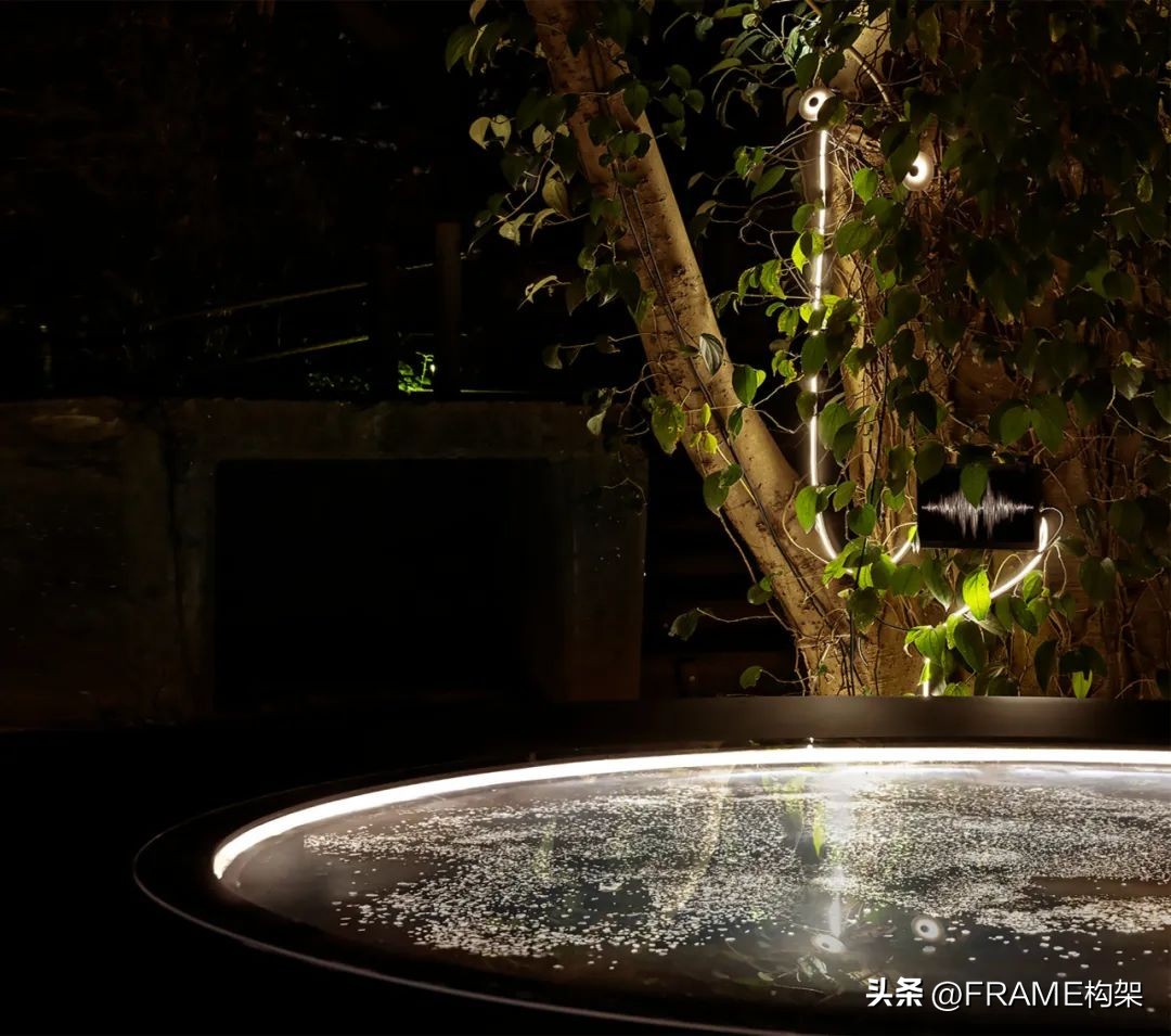 一周最受欢迎|Aesop多伦多体验店、哥伦比亚公寓、日本TreeSays