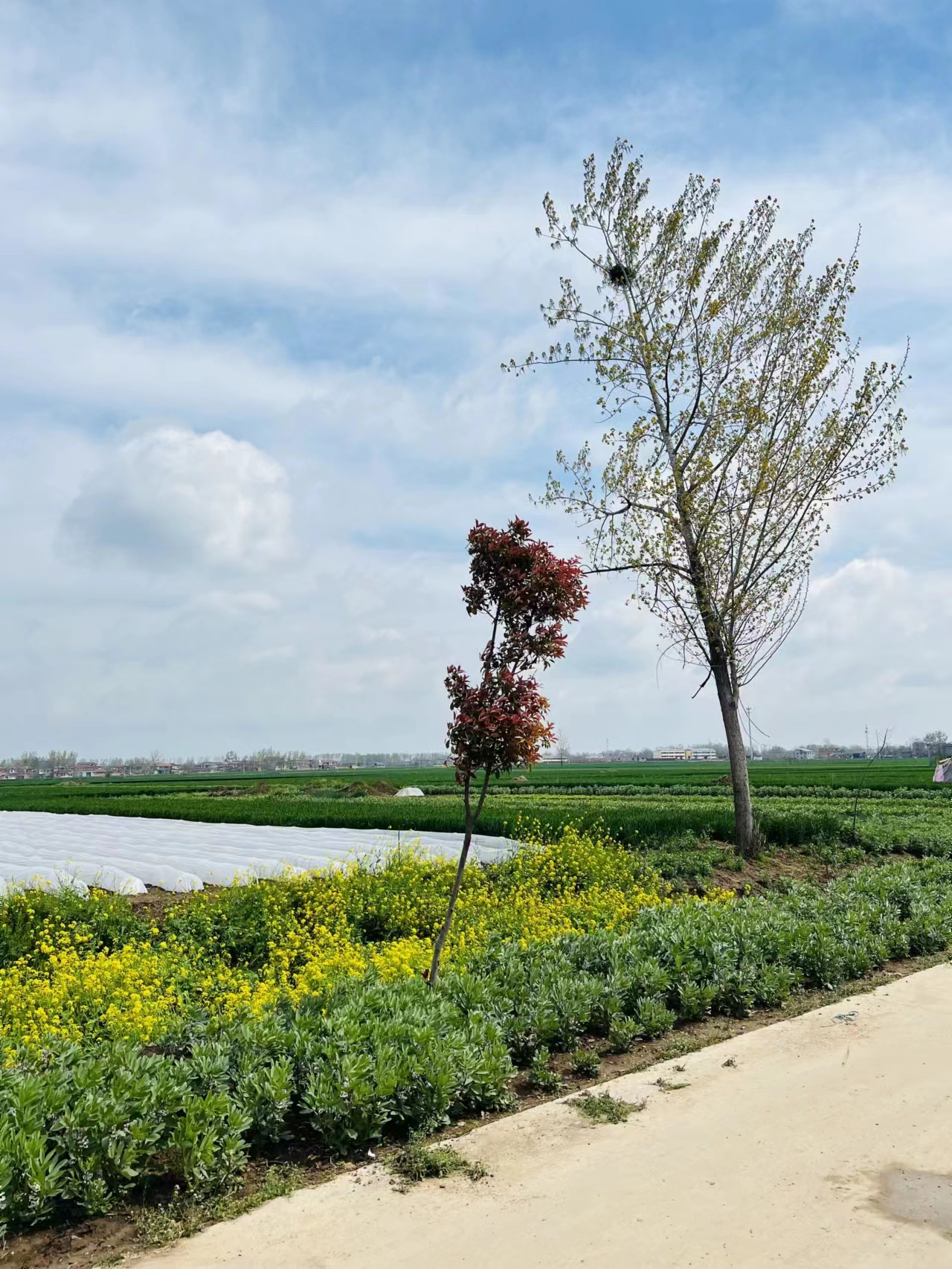 抖音小店开店规则及流程视频讲解,抖音小店开店详细教程视频讲解