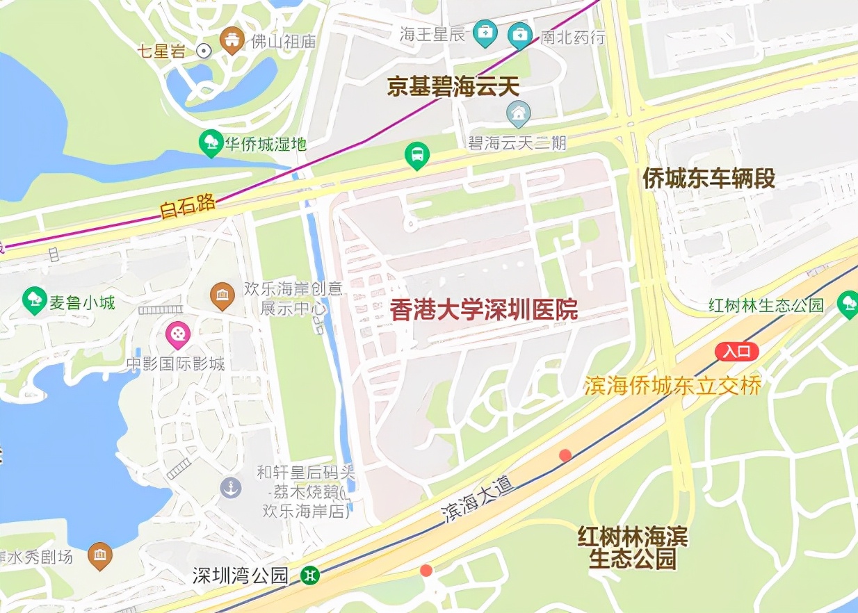 深圳市公立医院体检中心攻略,深圳市医院体检免费项目