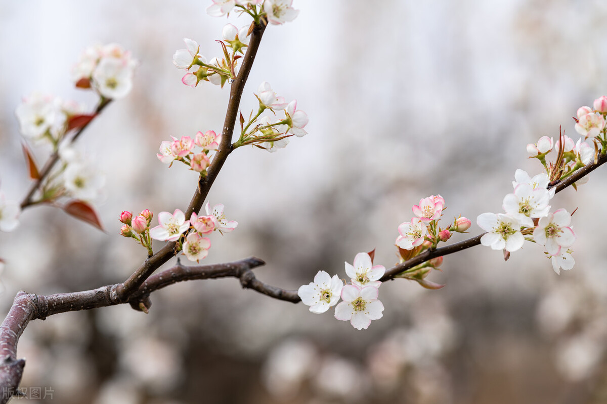 退休后想找一个打发时间的工作,退休后简单生活余生才能淡然从容