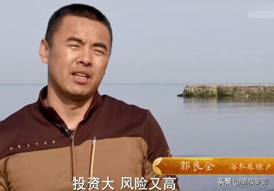 男子50元买海鲜发现是海洋活化石,一男子花10万买海参后续