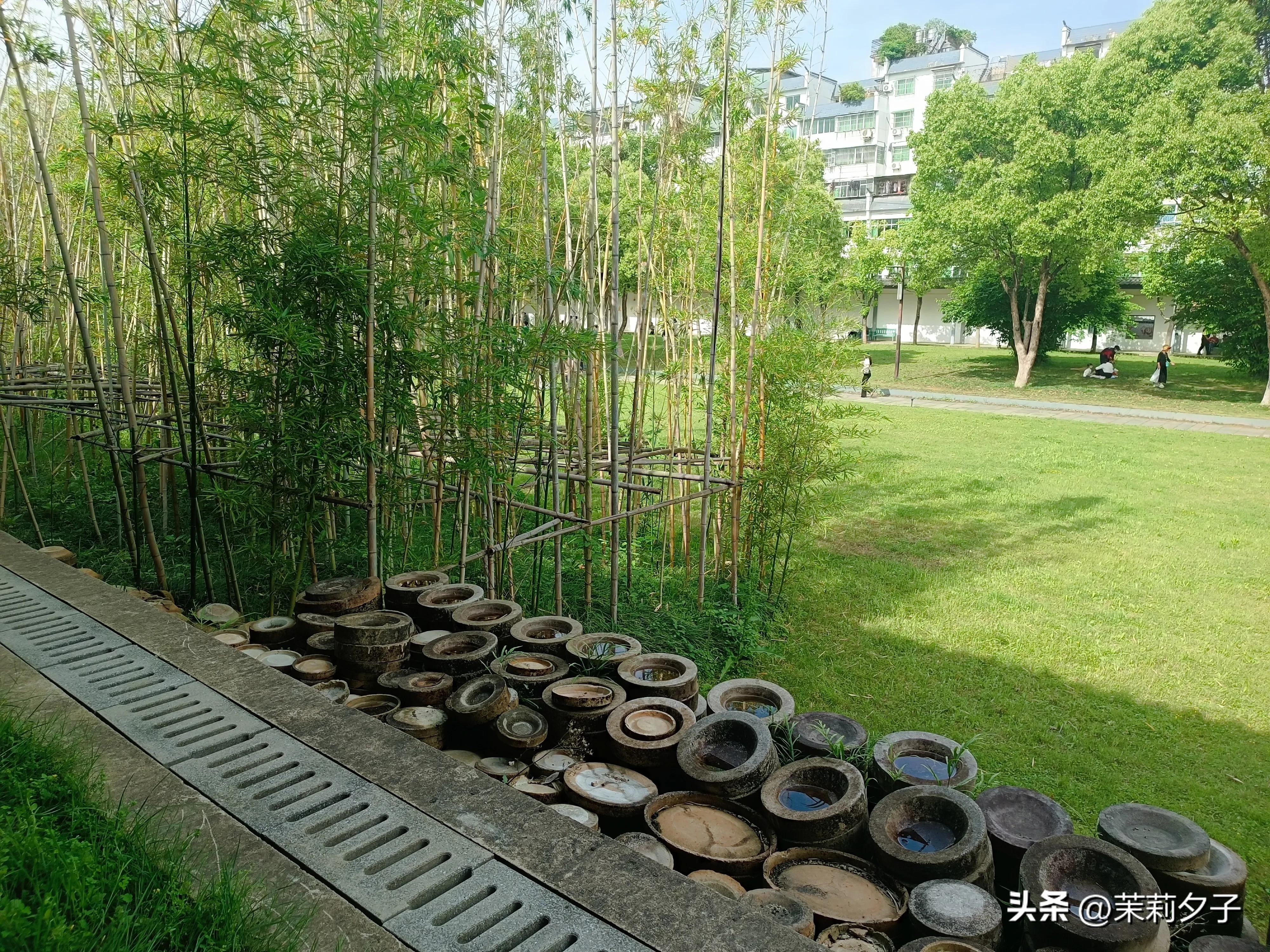 景德镇中国陶瓷博物馆参观路线,景德镇民俗博物馆旅行记