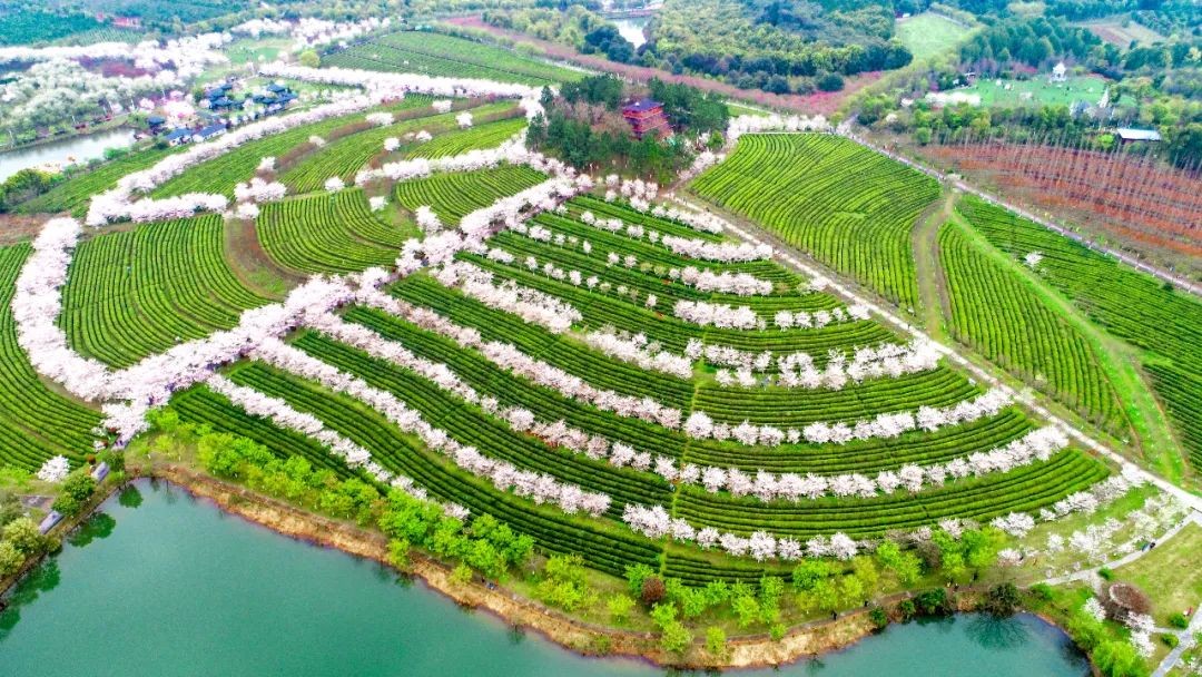 暑期南昌避暑好去处推荐,南昌这边清凉避暑好去处