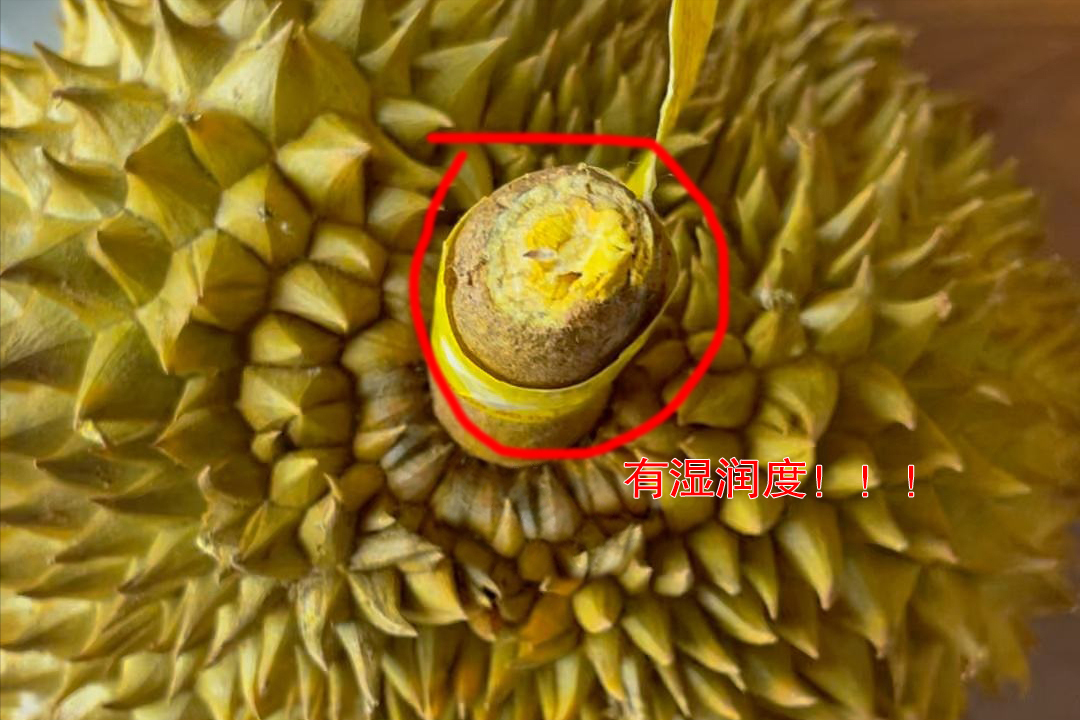 买榴莲不踩雷,牢记“4看1敲”,老板一看就知是内行,一挑一个准