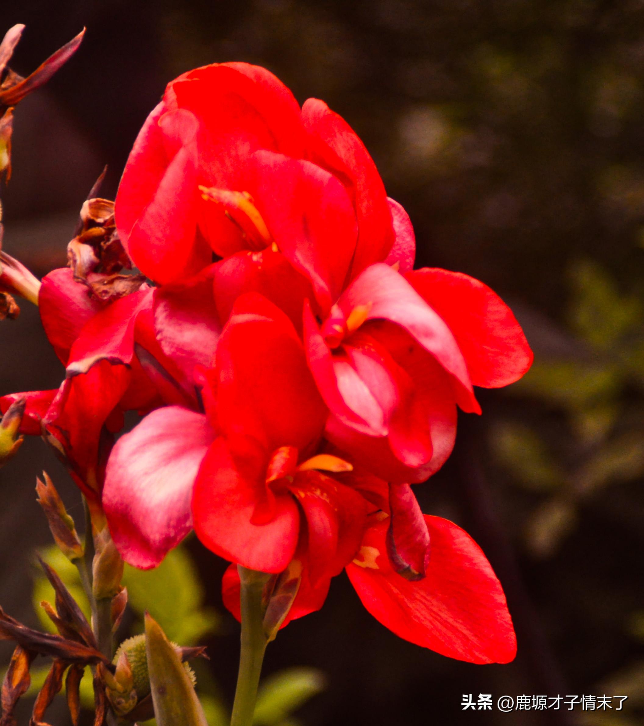 选择性记忆初中数学,选择性记忆全文