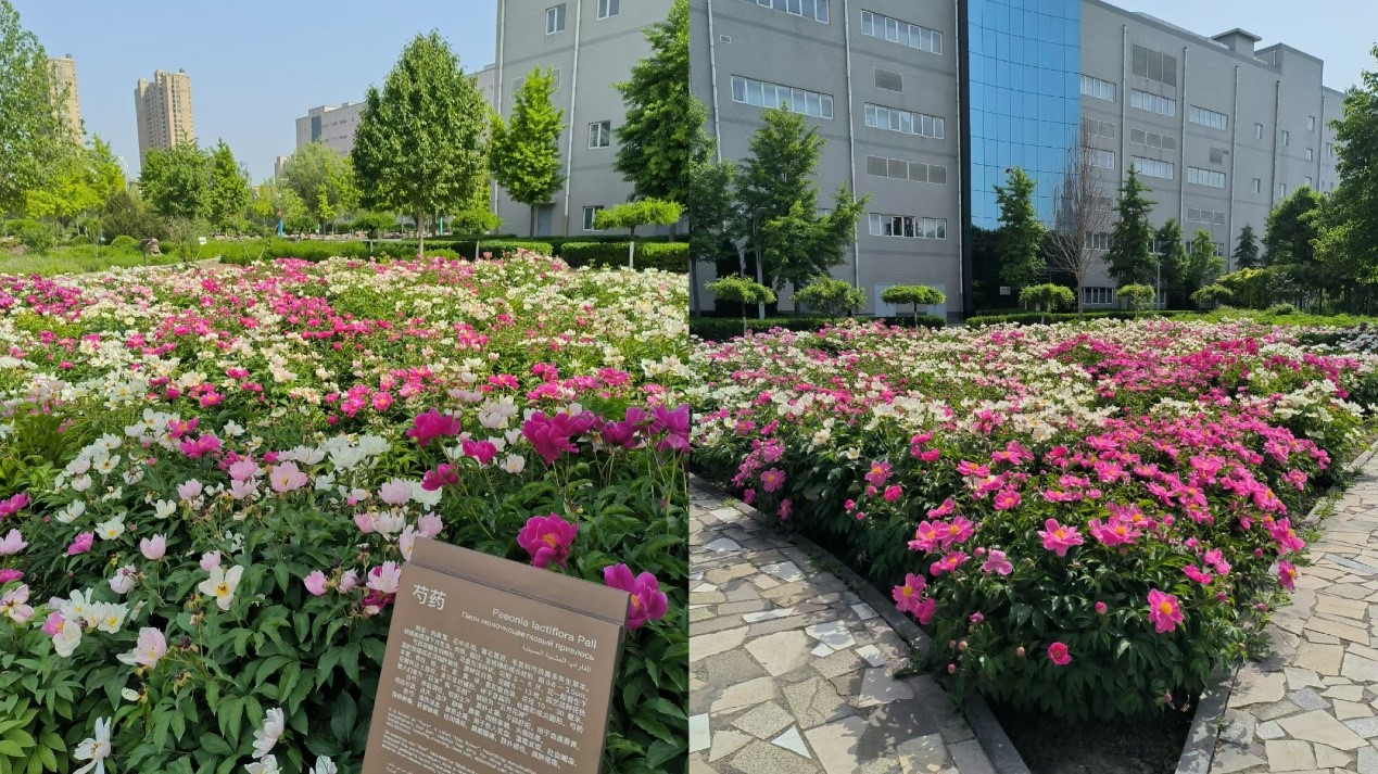 以岭药业厂区视频,以岭药业公司都做什么产品