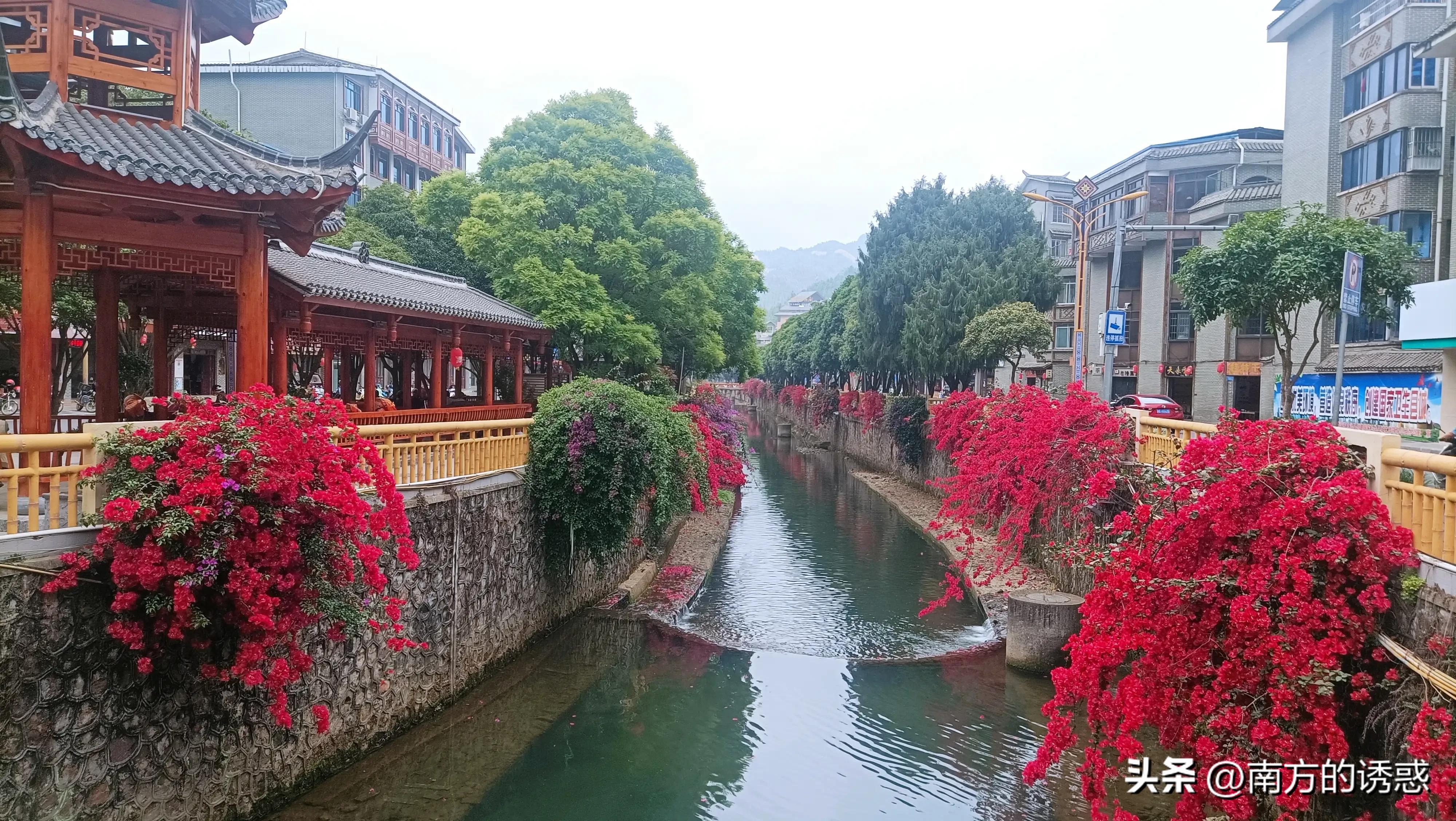 金秀周边哪里有小河可以玩,金秀镇附近小溪