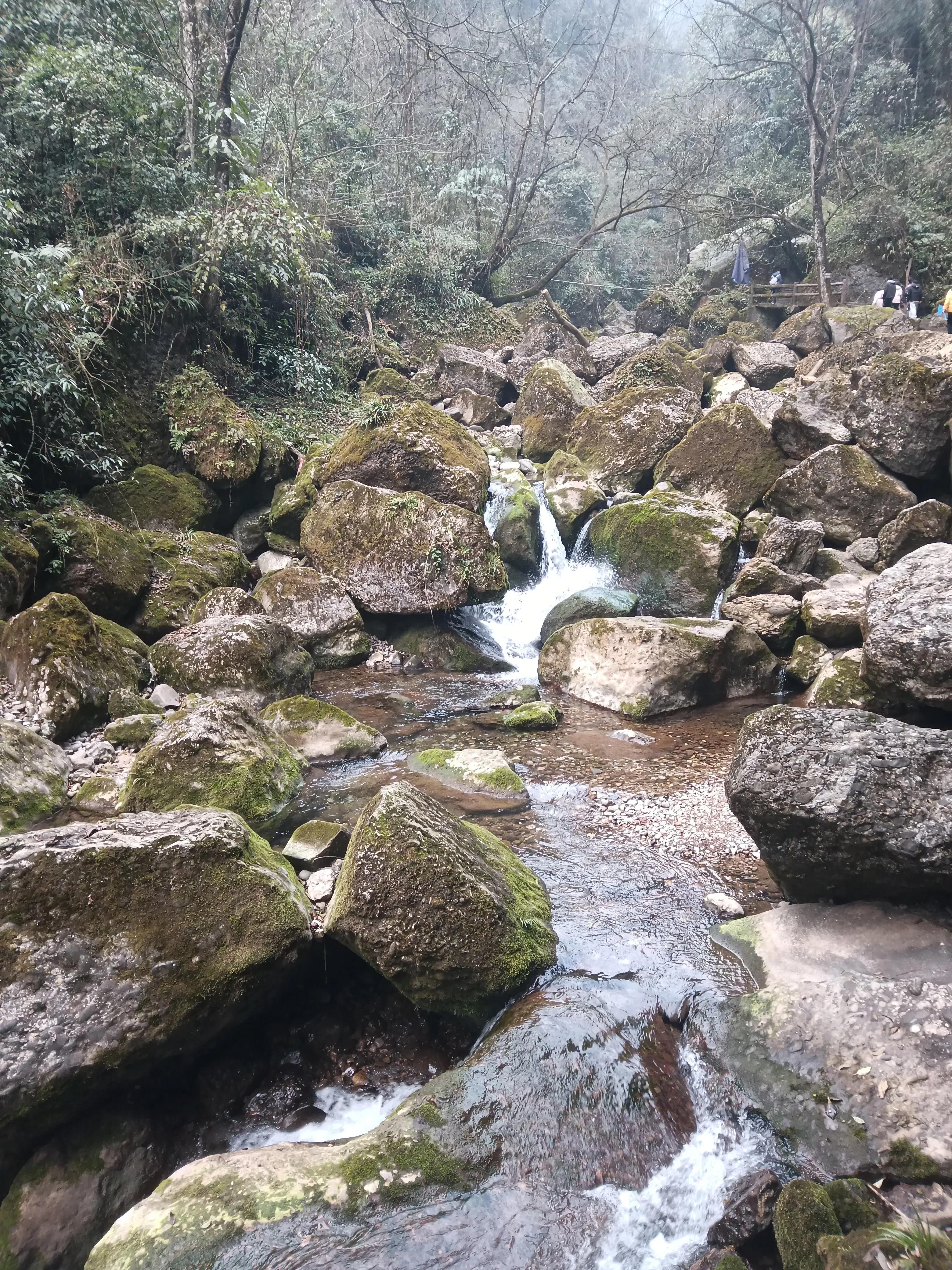泰安古镇到青城后山,青城后山景区导览图