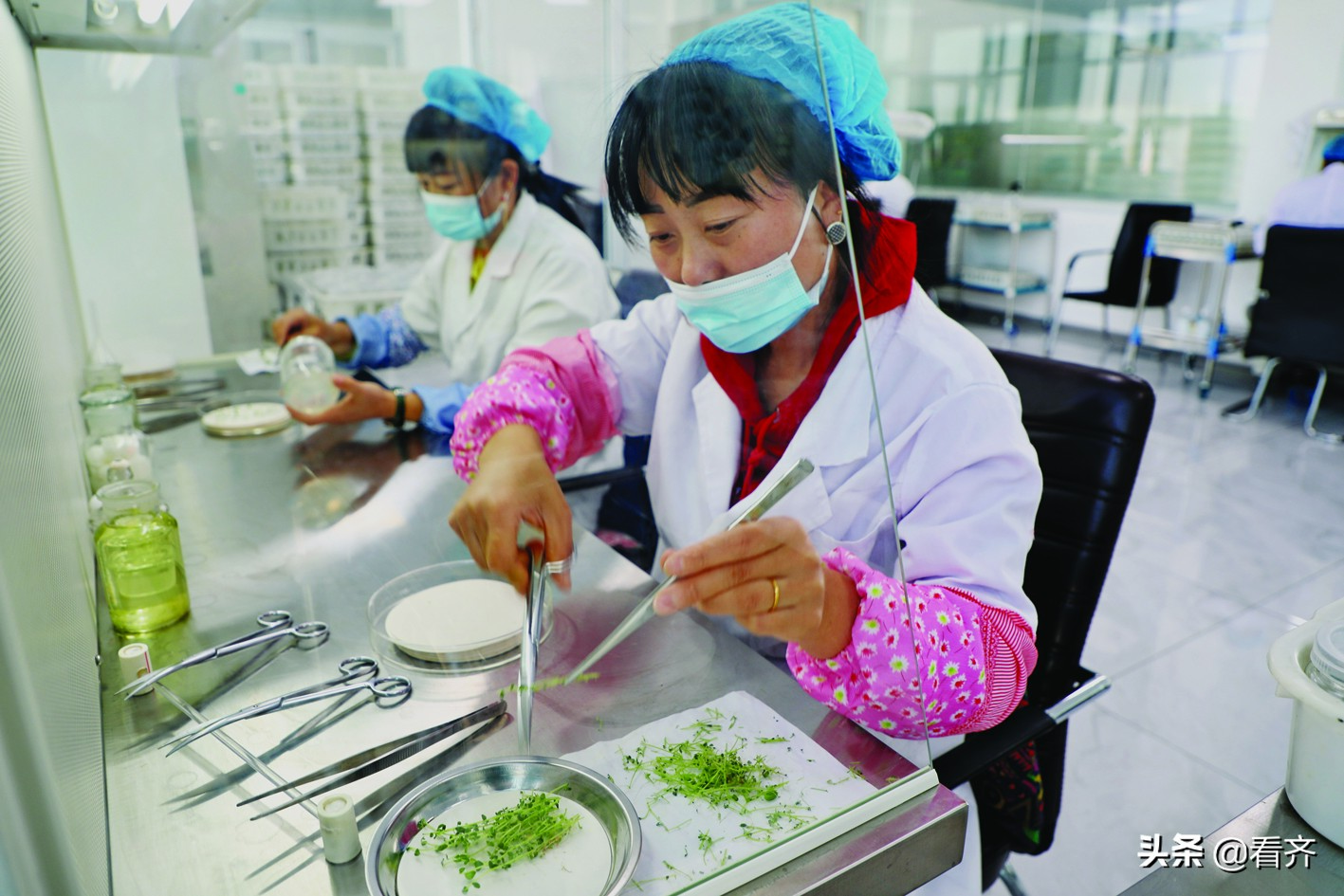 春耕农机生产,农民春耕农机市场