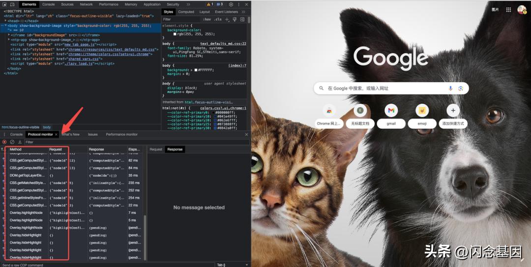 web怎么断点调试,网页调试的技巧