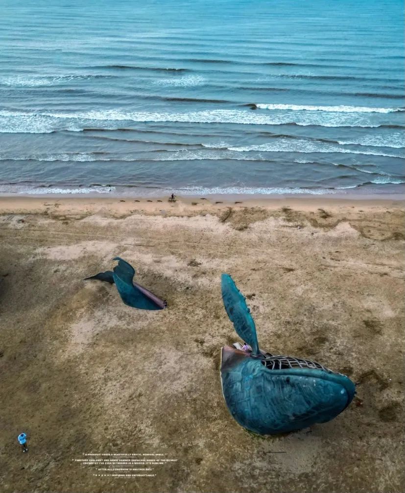 有山有海有雪的城市烟台,环渤海新区烟台