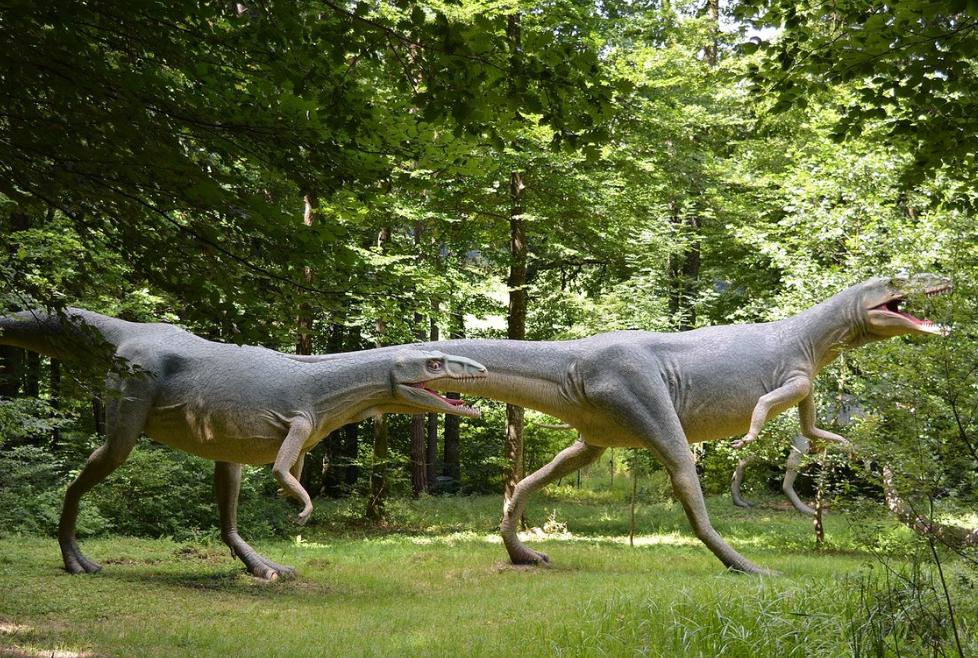 恐龙会进化成恐龙人吗,恐龙演化和恐龙进化有什么区别