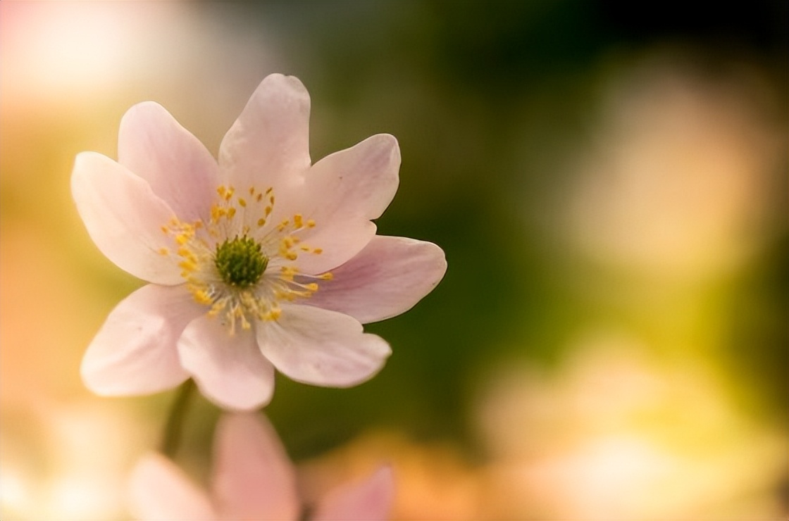 不要对男人太好就算你真的很爱他,不要对男人太好算你真的很爱他吗