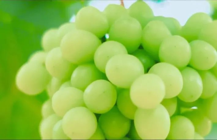 父亲节这天可以去哪玩,父亲节带父母游玩是最佳选择