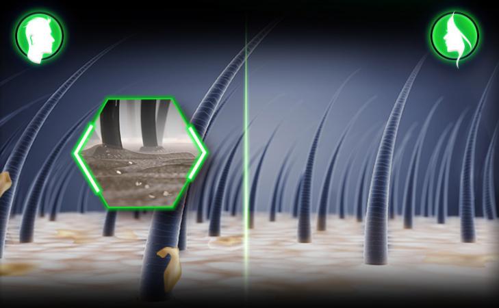 那些你认为是国货的外国货,盘点那些你误以为是国货的外国货